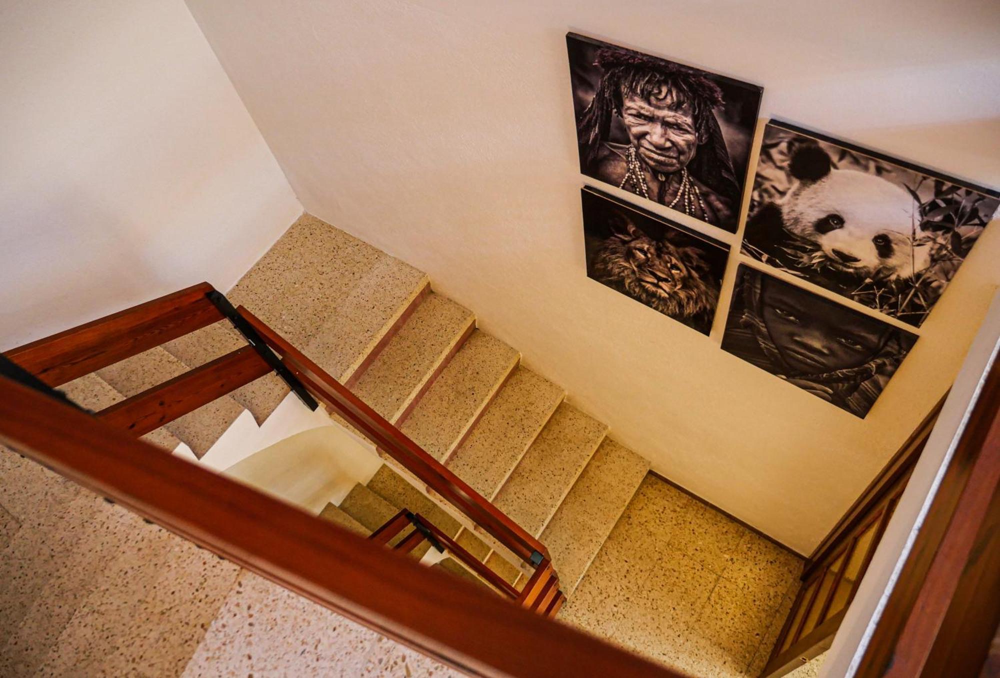 L'Amagatall De Talarn, Casa Per A Compartir Exterior photo